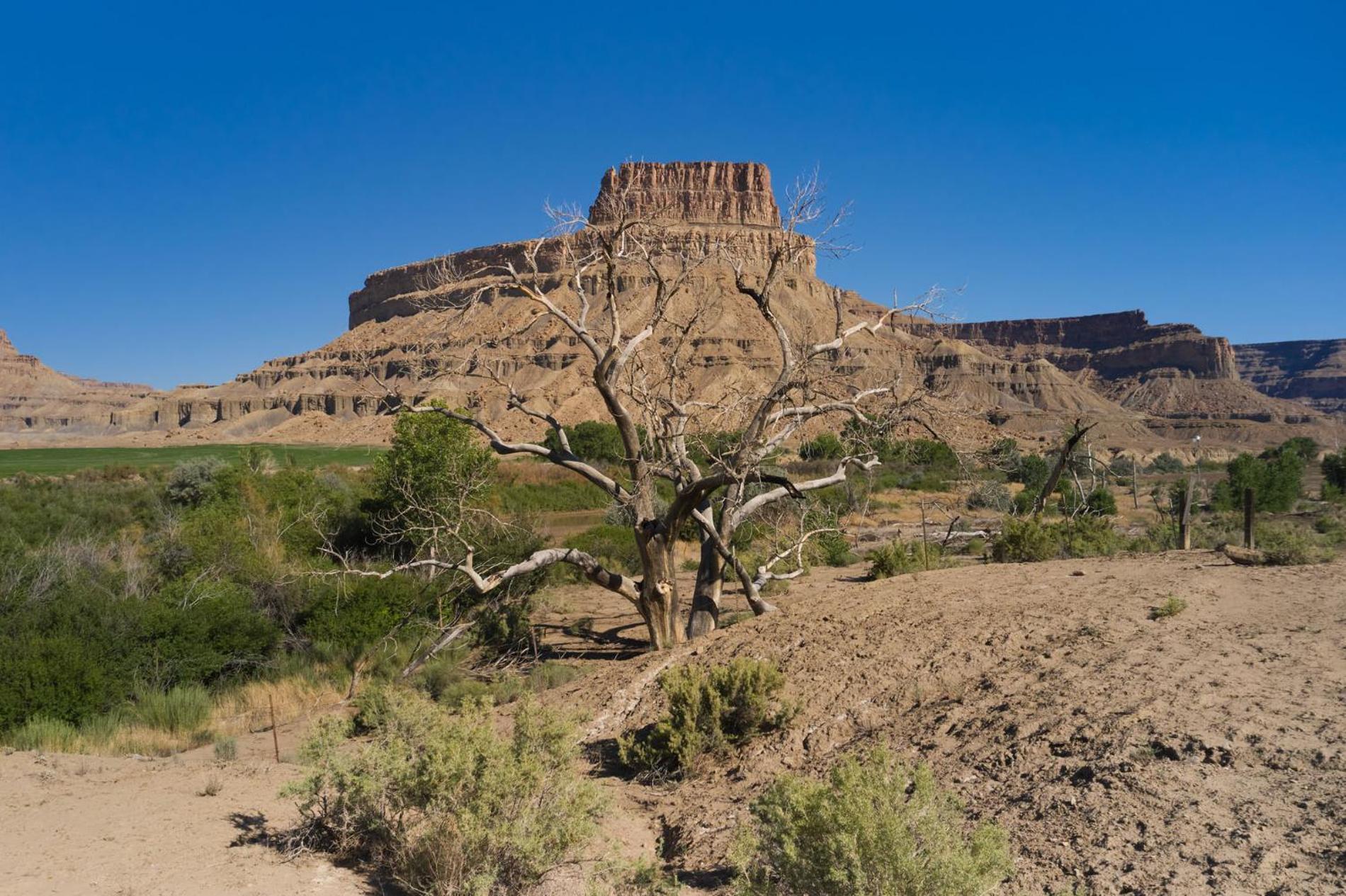 River Rock Inn B&B Green River Εξωτερικό φωτογραφία